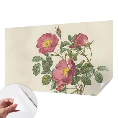 Foto behang voor de kinderkamer met een rozenmotief