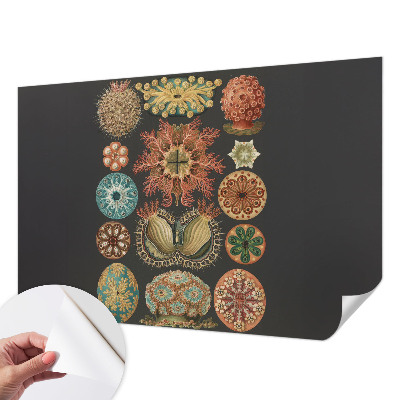 Fotobehang tienerkamer met een zee-thema als inspiratie
