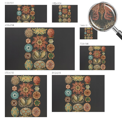 Fotobehang tienerkamer Inspiratie uit de zee