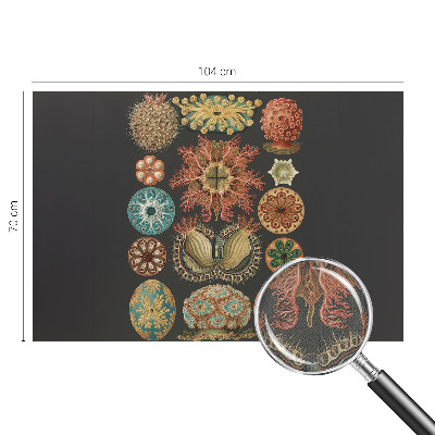 Fotobehang tienerkamer Inspiratie uit de zee