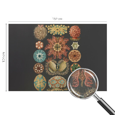 Fotobehang tienerkamer Inspiratie uit de zee