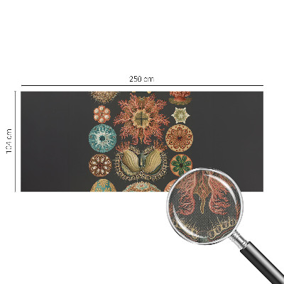 Fotobehang tienerkamer Inspiratie uit de zee