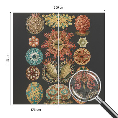 Fotobehang tienerkamer Inspiratie uit de zee