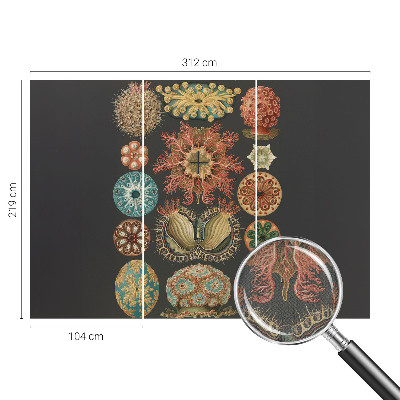 Fotobehang tienerkamer Inspiratie uit de zee