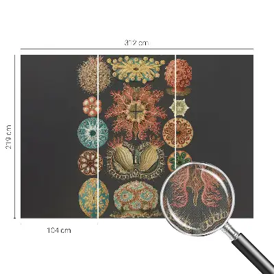 Fotobehang tienerkamer met een zee-thema als inspiratie