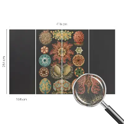 Fotobehang tienerkamer met een zee-thema als inspiratie