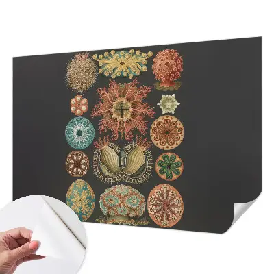 Fotobehang tienerkamer met een zee-thema als inspiratie