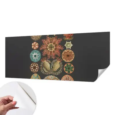 Fotobehang tienerkamer met een zee-thema als inspiratie