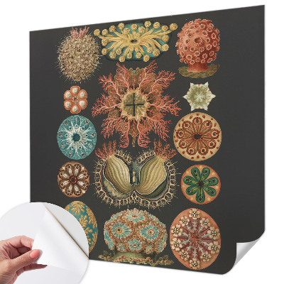 Fotobehang tienerkamer Inspiratie uit de zee