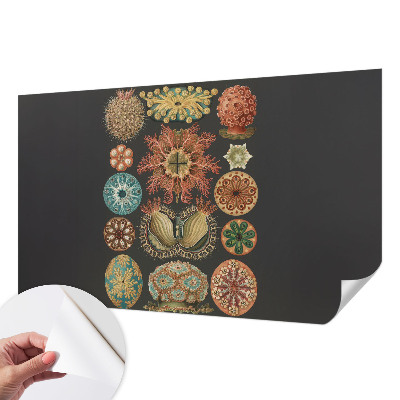 Fotobehang tienerkamer Inspiratie uit de zee