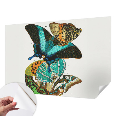 Fotobehang voor de kinderkamer met kleurrijke vlinders