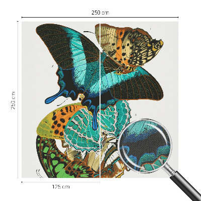 Fotobehang voor de kinderkamer Kleurrijke vlinders