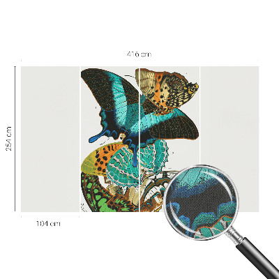 Fotobehang voor de kinderkamer Kleurrijke vlinders