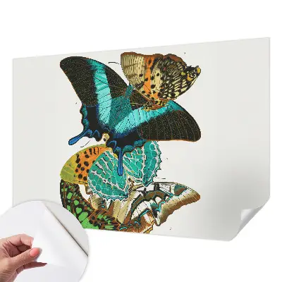 Fotobehang voor de kinderkamer met kleurrijke vlinders