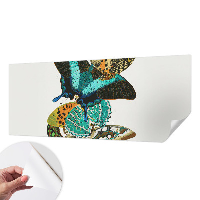 Fotobehang voor de kinderkamer Kleurrijke vlinders