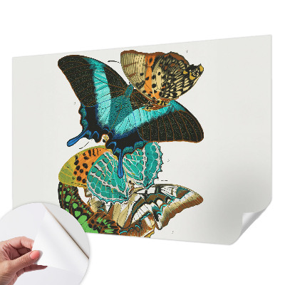 Fotobehang voor de kinderkamer Kleurrijke vlinders