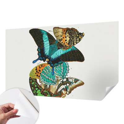 Fotobehang voor de kinderkamer Kleurrijke vlinders