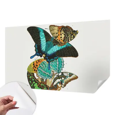 Fotobehang voor de kinderkamer met kleurrijke vlinders