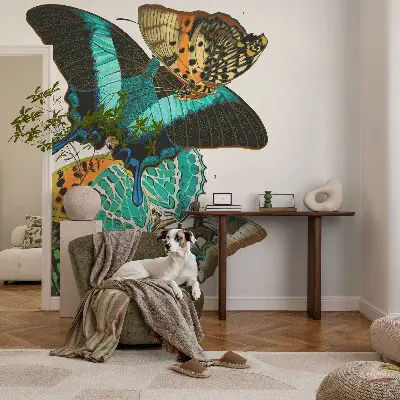 Fotobehang voor de kinderkamer met kleurrijke vlinders