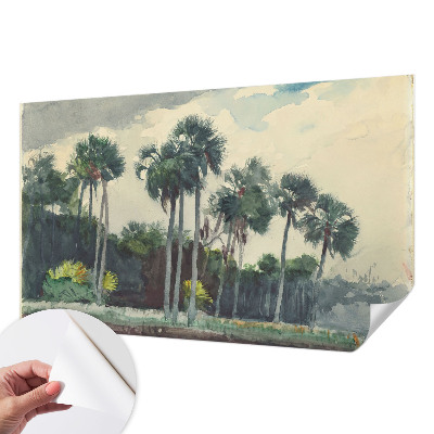 Zelfklevend fotobehang Exotische palmbomen