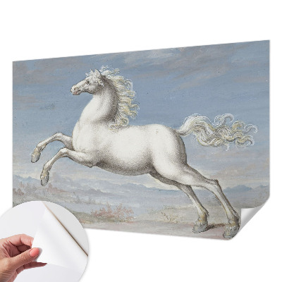 Zelfklevend fotobehang op maat met een afbeelding van paarden bij een hindernis
