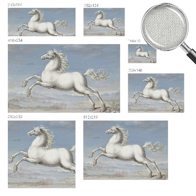 Zelfklevend fotobehang op maat met een afbeelding van paarden bij een hindernis