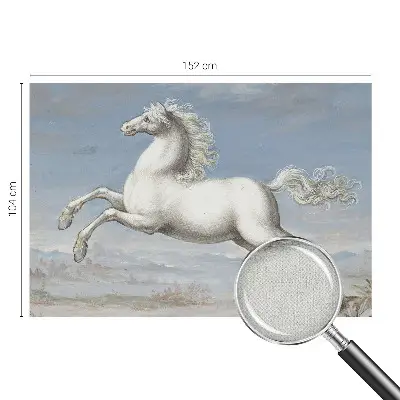 Zelfklevend fotobehang op maat met een afbeelding van paarden bij een hindernis