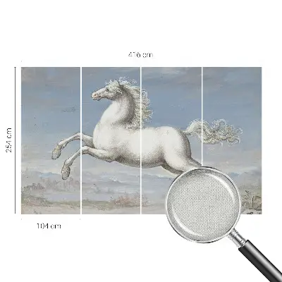 Zelfklevend fotobehang op maat met een afbeelding van paarden bij een hindernis