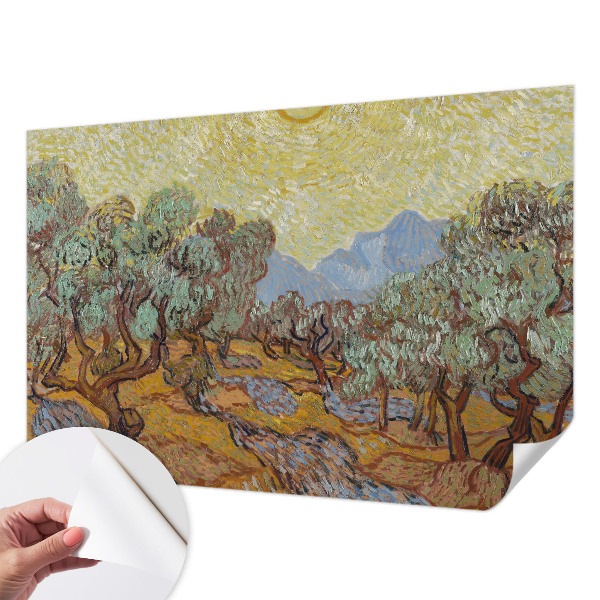 Fotobehang voor kinderkamer Olijfbomen
