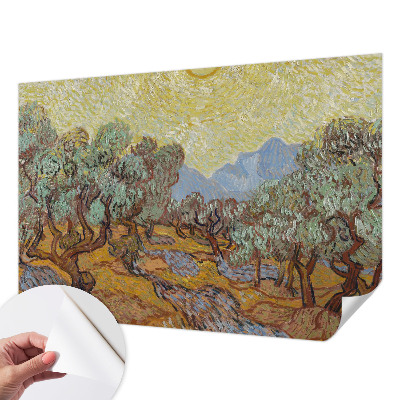 Fotobehang voor kinderkamer Olijfbomen
