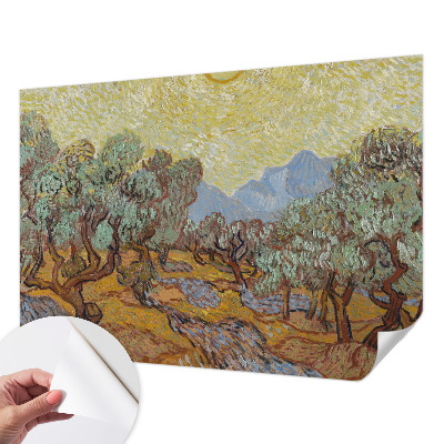 Fotobehang voor kinderkamer Olijfbomen