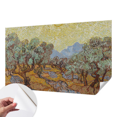 Fotobehang voor kinderkamer Olijfbomen