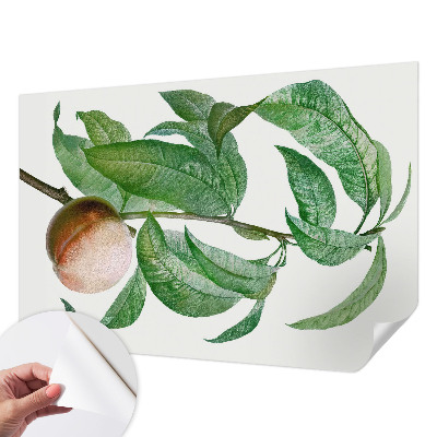 Fotobehang zelfklevend met motief van rijpe perziken