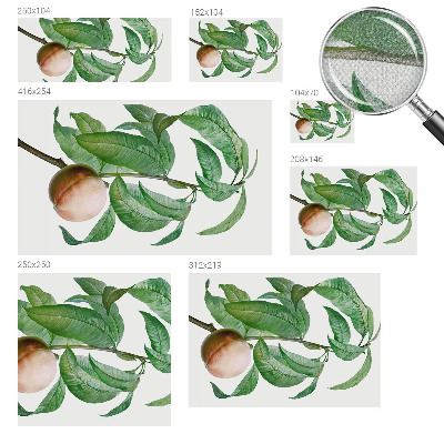 Fotobehang zelfklevend Rijpe perzik