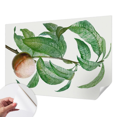 Fotobehang zelfklevend met motief van rijpe perziken