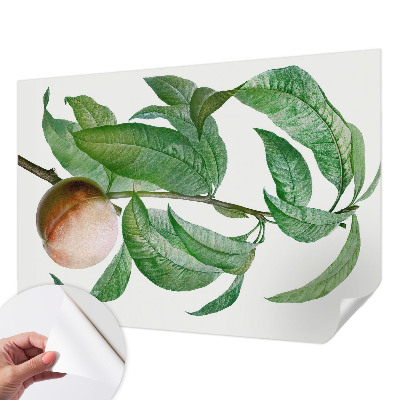 Fotobehang zelfklevend met motief van rijpe perziken
