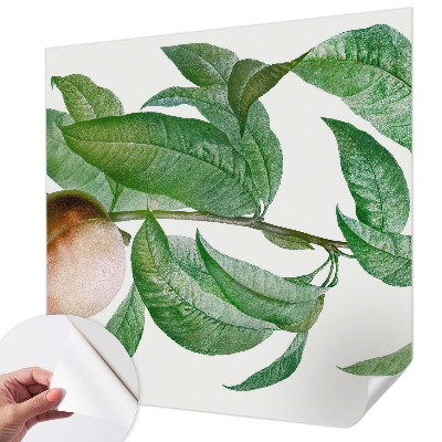 Fotobehang zelfklevend met motief van rijpe perziken