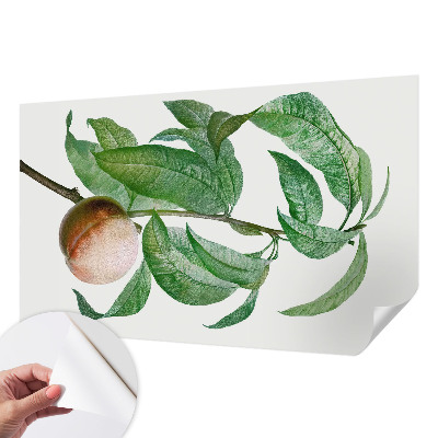 Fotobehang zelfklevend met motief van rijpe perziken