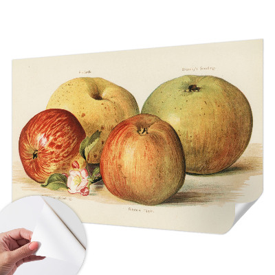 Foto behang voor de kinderkamer met een motief van appelbloesems