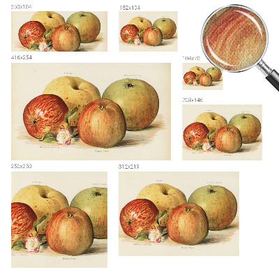 Foto behang voor de kinderkamer met een motief van appelbloesems