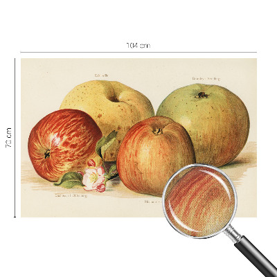 Foto behang voor de kinderkamer met een motief van appelbloesems