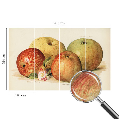 Foto behang voor de kinderkamer met een motief van appelbloesems