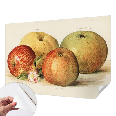 Foto behang voor de kinderkamer met een motief van appelbloesems