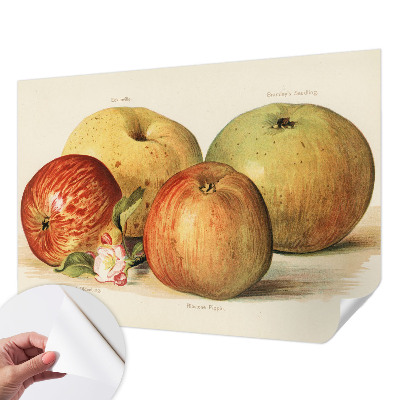 Foto behang voor de kinderkamer met een motief van appelbloesems