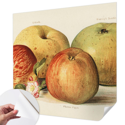 Foto behang voor de kinderkamer met een motief van appelbloesems