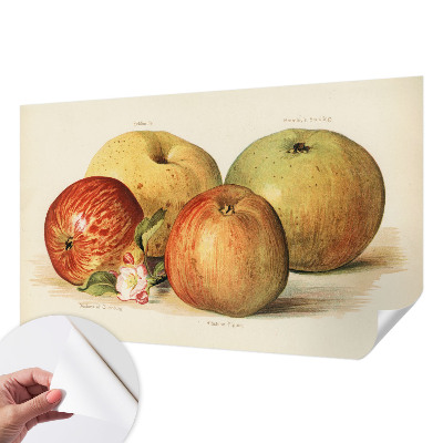 Foto behang voor de kinderkamer met een motief van appelbloesems