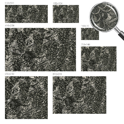 3D fotobehang Druivenafdruk