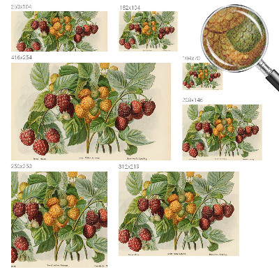 Fotobehang kinderkamer Klassieke frambozen