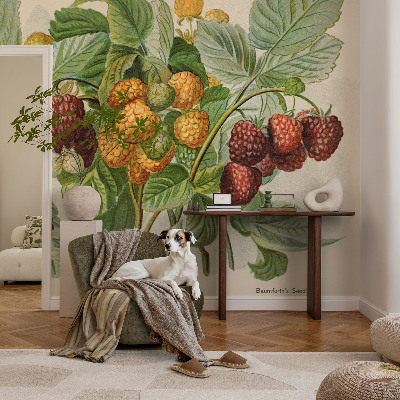 Fotobehang kinderkamer Klassieke frambozen