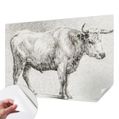 Fotobehang voor de kinderkamer met een stierpenseelillustratie
